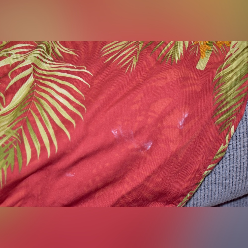 TB button down - Picture 8 of 9